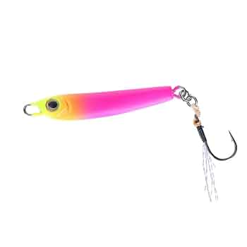 Amazon.co.jp: ダイワ(DAIWA) シルバークリークジグ 秋姫 12g